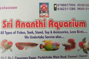 Sri Ananthi Aquarium image