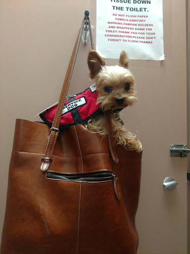 Shopping Mall «Marketplace Mall», reviews and photos, 2101 Peters Creek Pkwy, Winston-Salem, NC 27127, USA