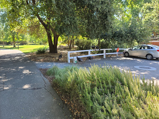 Park «Oak Grove Park», reviews and photos, 1900 Donner Ave, Davis, CA 95618, USA