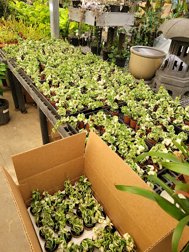 Hardware Store «Proctor Ace Hardware», reviews and photos, 1281 Atlantic Blvd, Neptune Beach, FL 32266, USA