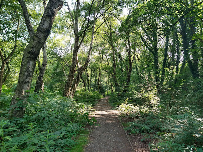 Comments and reviews of Moore Nature Reserve
