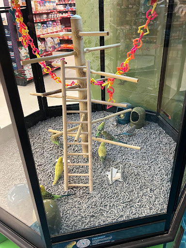 Pet Supply Store «Petco Animal Supplies», reviews and photos, 2230 Marlton Pike W #3, Cherry Hill, NJ 08002, USA