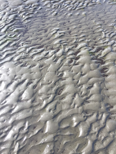 Top 20 cửa hàng play Huyện Cần Giờ Hồ Chí Minh 2022