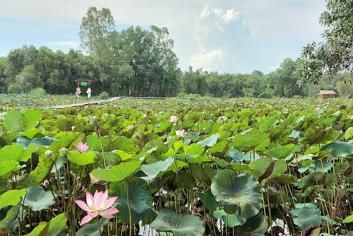 Top 20 cửa hàng kẹo ngọt Huyện Tháp Mười Đồng Tháp 2022