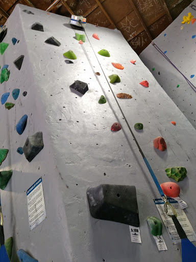 Rock climbing gym Pasadena
