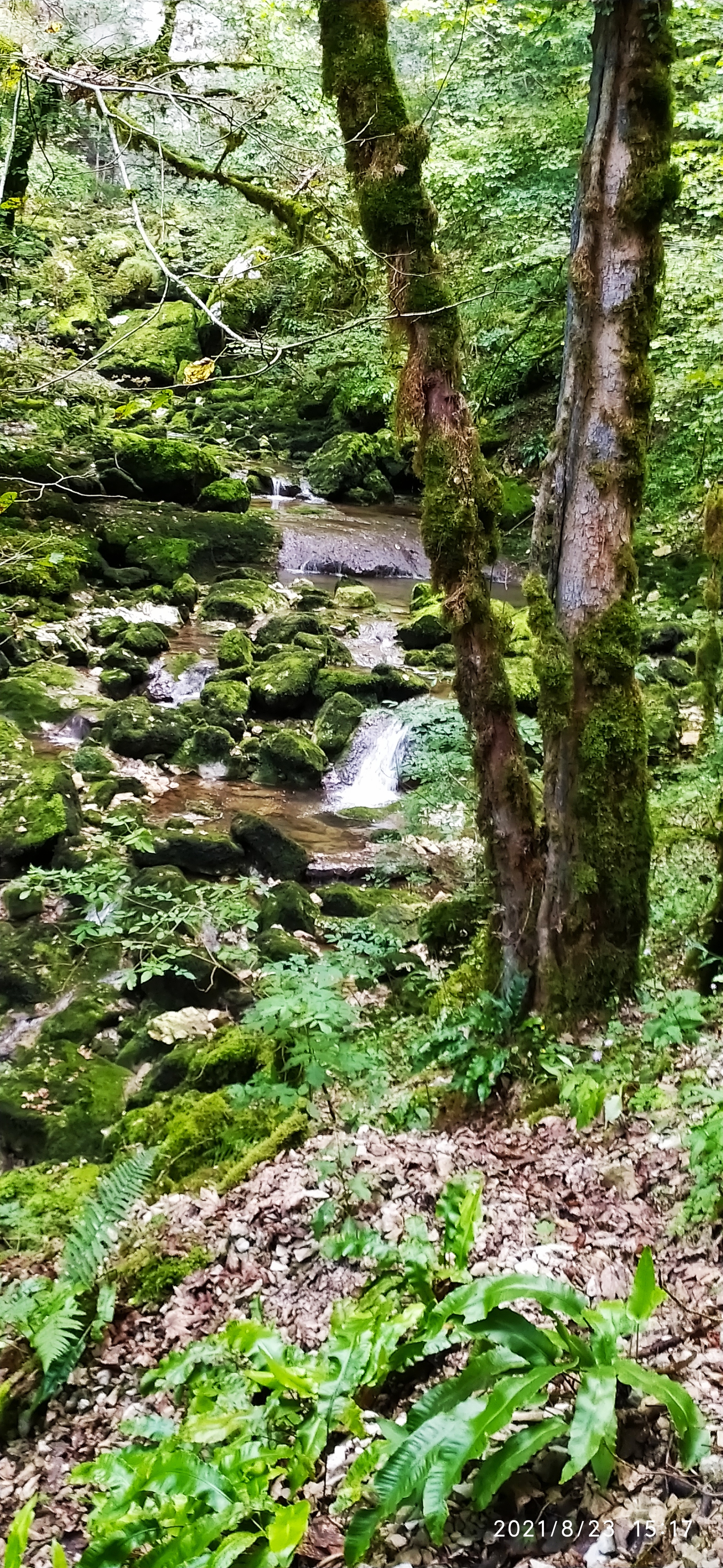 Photo n° 9 de l'avis de Véronique.I fait le 23/08/2021 à 17:46
