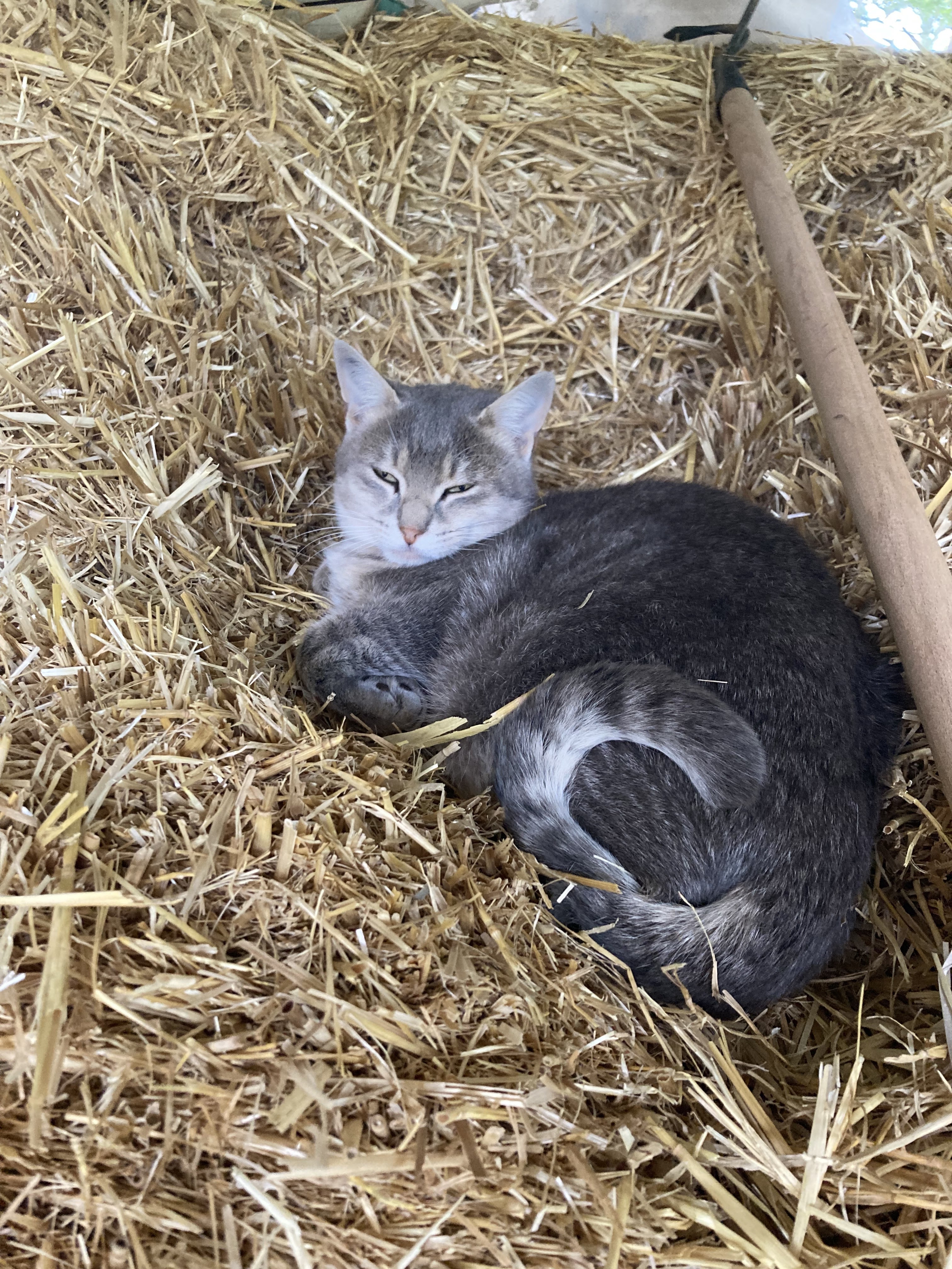Photo n° 2 de l'avis de Louk.n fait le 04/11/2022 à 13:12
