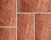 West Orange Carpet Cleaning - Photo 6 - Car repair in West Orange, NJ, Newark