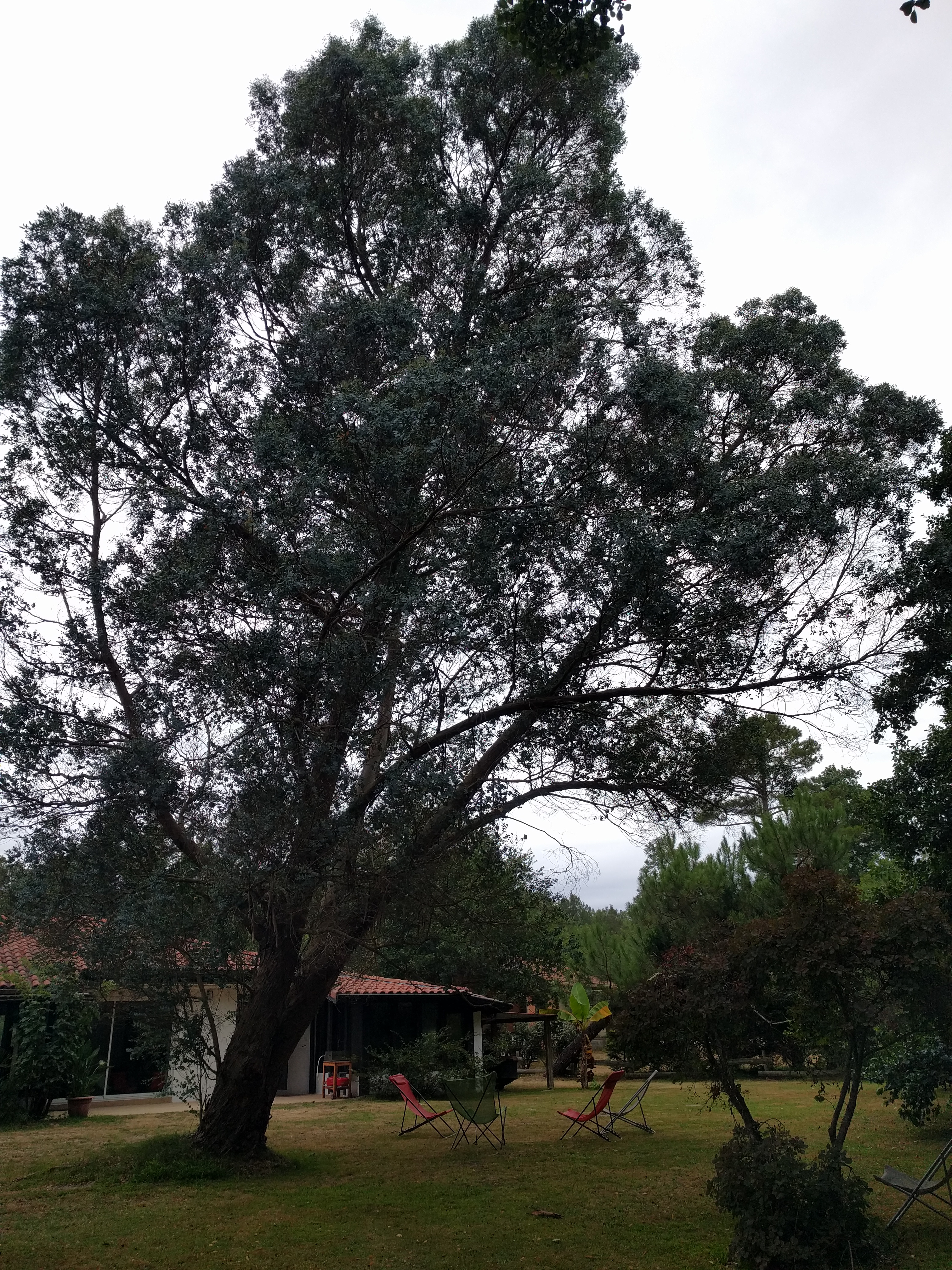 Photo n° 22 de l'avis de Viola.a fait le 23/08/2020 à 19:14