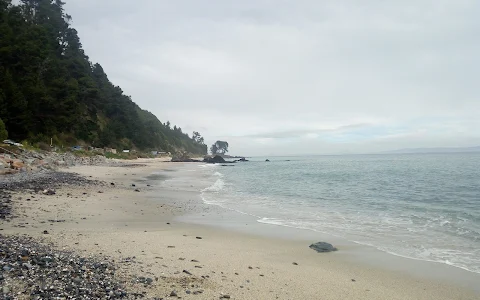 Playa Tres Pinos image