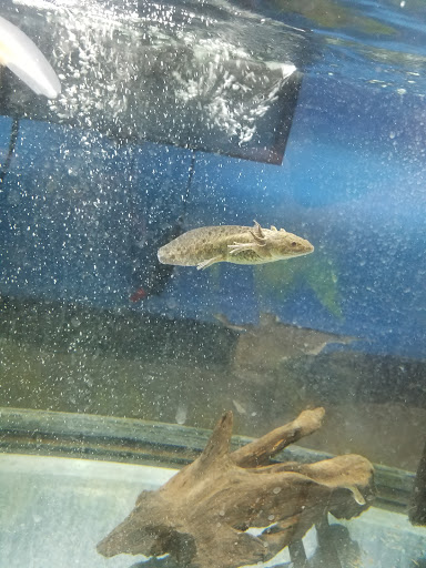 Pet Store «Whiskers Wings And Wild Things», reviews and photos, 1200 30th St NW, Canton, OH 44709, USA