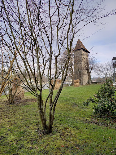 Storchennest Parkplatz - Rheinfelden