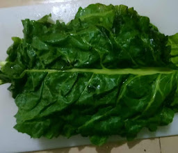 Central Mayorista photo