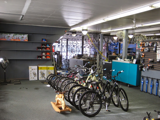 Bicycle Repair Shop «Chicagoland Bicycle Trek Bicycles», reviews and photos, 10355 S Kedzie Ave, Chicago, IL 60655, USA