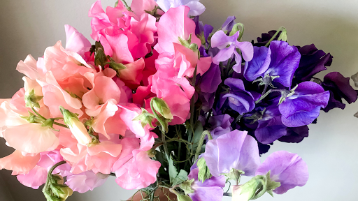 Florist «The Vines Flower & Garden Shop», reviews and photos, 33245 Grand River Ave, Farmington, MI 48336, USA