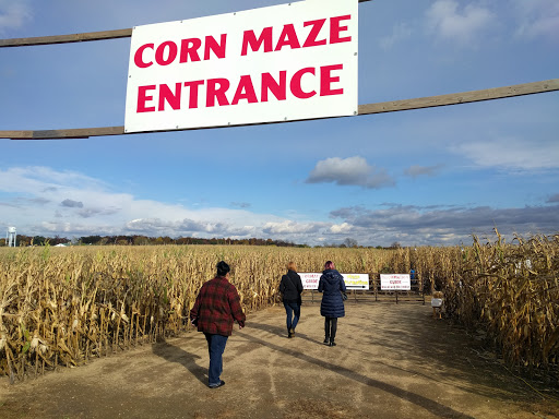 Tourist Attraction «Shipshewana Corn Maze», reviews and photos, 505 Morton St, Shipshewana, IN 46565, USA
