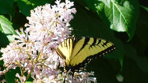 Pet Supply Store «PetSmart», reviews and photos, 4190 Vinewood Ln N, Plymouth, MN 55442, USA