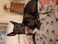 Document Divas Legal Documents in Family and Elder Law and Elder Care Planning - Photo 3 - Car repair in Concord, CA, Concord