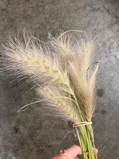 Florist «Sequoia Floral International», reviews and photos, 3245 Santa Rosa Ave, Santa Rosa, CA 95407, USA