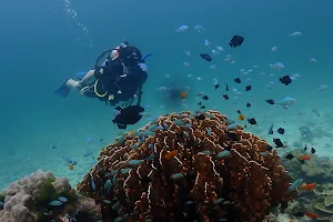 DiveSafe Phuket image