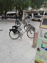 Movus Bicicletas 15