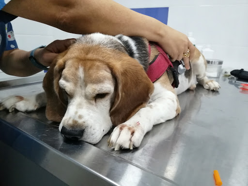 Vivaria Clínica Veterinaria en Valencia