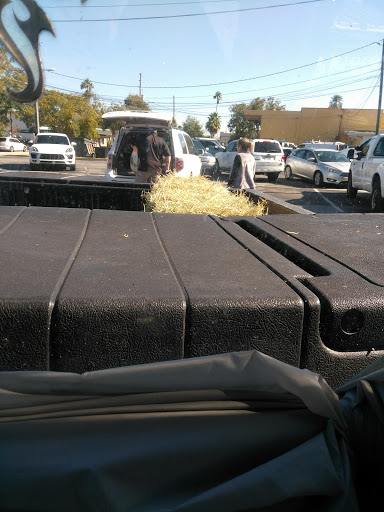 Pet Supply Store «Largo Feed & Garden Supply Inc», reviews and photos, 210 W Bay Dr, Largo, FL 33770, USA