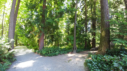 Park «Zumdieck Park», reviews and photos, 1500 108th Ave NE, Bellevue, WA 98004, USA