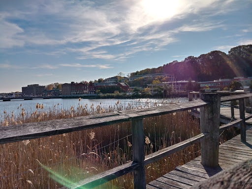 Clothing Store «Gap», reviews and photos, 125 Main St, Westport, CT 06880, USA