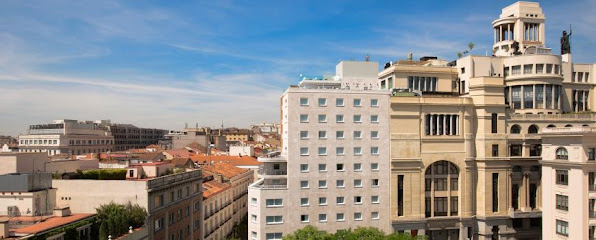 Hotel NH Collection Madrid Suecia