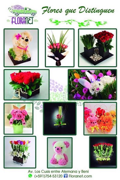 Photos of Florer&iacute;a Floranet