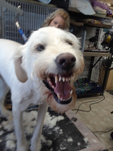 Pet Supply Store «Pets For You», reviews and photos, 413 N Main St, Rice Lake, WI 54868, USA