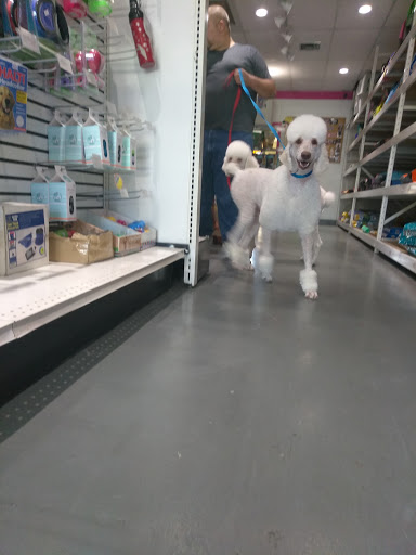 Pet Groomer «Pet Choice», reviews and photos, 4203 MacArthur Blvd, Oakland, CA 94619, USA