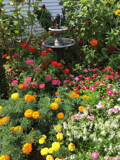 Winery «StoneBrook Winery», reviews and photos, 6570 Vineyard Ln, Melbourne, KY 41059, USA