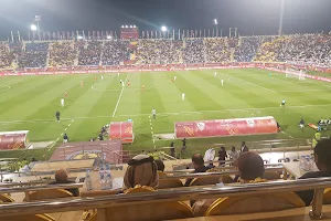 Thani bin Jassim Stadium image