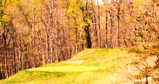 Golf Course «Gunpowder Golf Course», reviews and photos, 14300 Old Gunpowder Rd, Laurel, MD 20707, USA