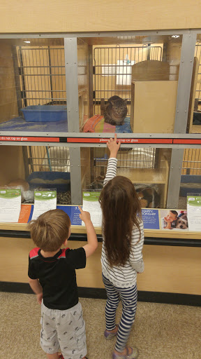 Pet Supply Store «PetSmart», reviews and photos, 21032 S Ellsworth Loop, Queen Creek, AZ 85142, USA