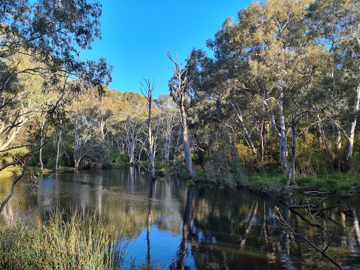 Wilson Reserve