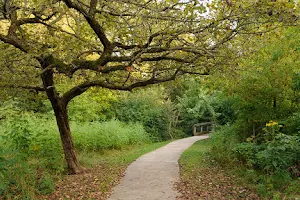 Runyon Preserve image