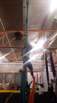 Cirqueindy - Photo 4 - Car repair in Indianapolis, IN, Indianapolis