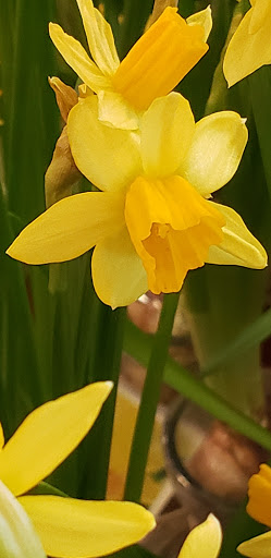 Supermarket «Super Stop & Shop», reviews and photos, 855 Bridgeport Ave, Milford, CT 06460, USA