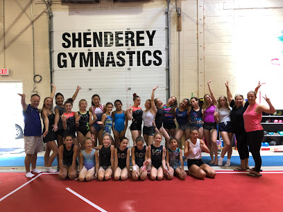 Shenderey Gymnastics