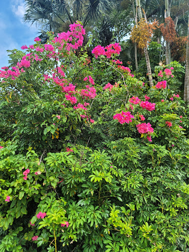 Golf Club «Old Marsh Golf Club», reviews and photos, 7500 Old Marsh Rd, Palm Beach Gardens, FL 33418, USA