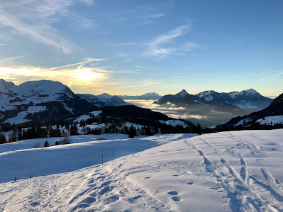 Luftseilbahn Illgau Vorderoberberg AG