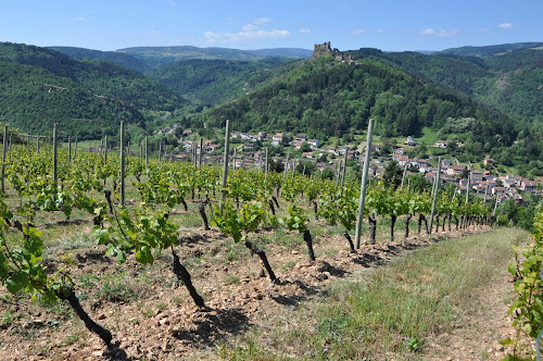 Caviste AGAMY - Vilavigne - Espace de Vente de Trelins Trelins