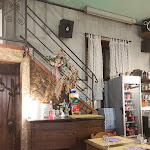 Photo n°3 de l'avis de Daniele.o fait le 06/06/2022 à 08:10 sur le  Da Gigo e Licia à Poggio Murella