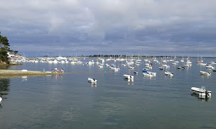 Photo n°2 de Restaurant Le Marin à Arzon ()