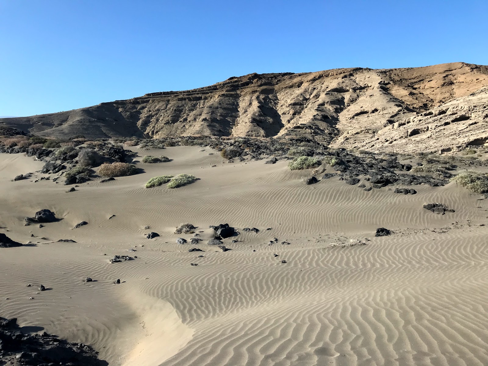 Fotografija Playa La Pelada z visok stopnjo čistoče