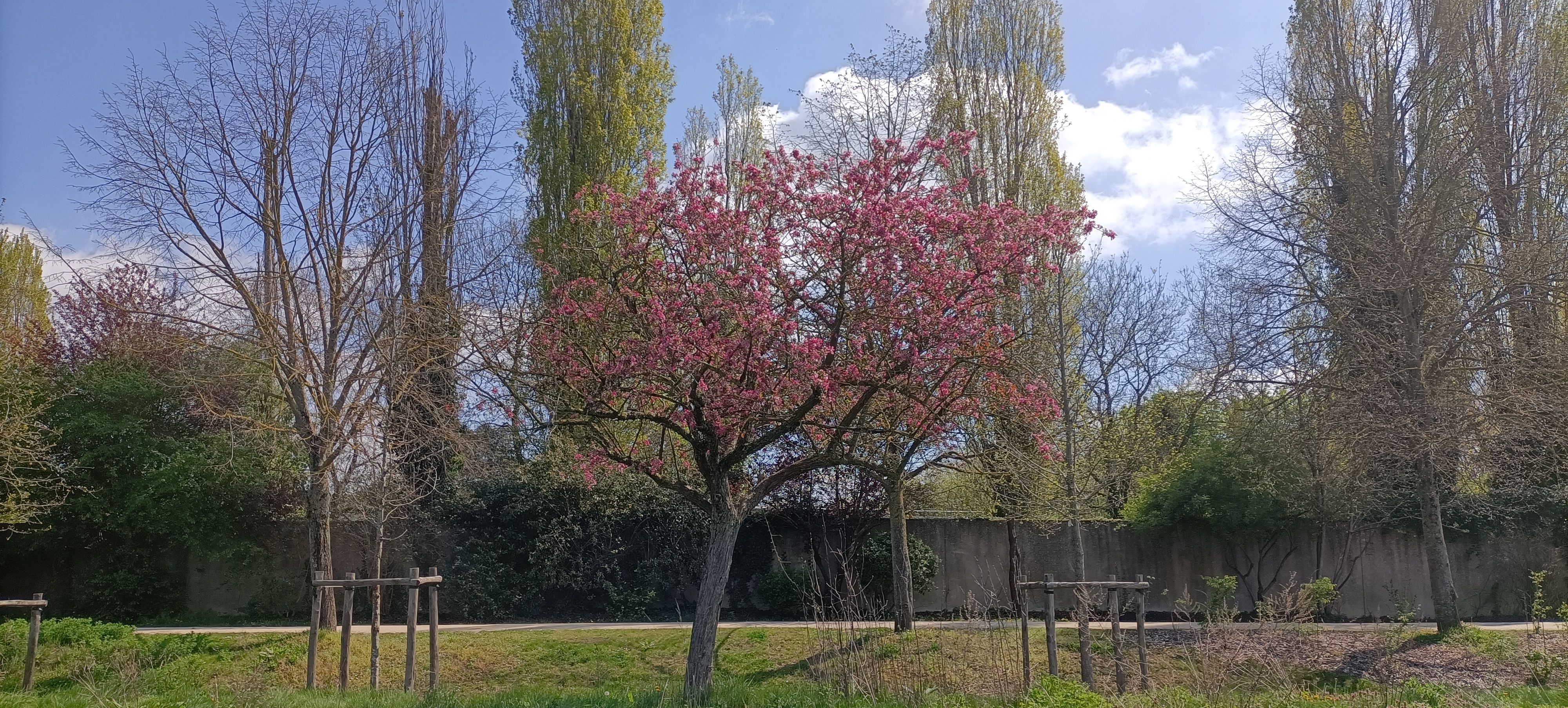 Photo n° 39 de l'avis de Seb.s fait le 19/04/2023 à 15:12