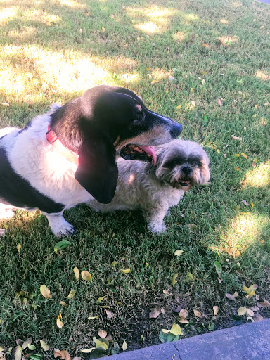 Country Club «Indian Palms Country Club & Resort», reviews and photos, 48630 Monroe St, Indio, CA 92201, USA